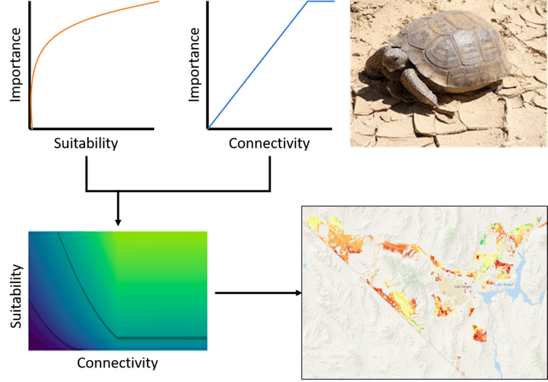 The tortoise and the solar panel graphic