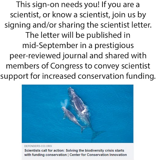 Click here to read and sign the letter