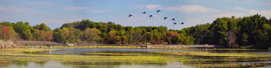 John Heinz NWR 