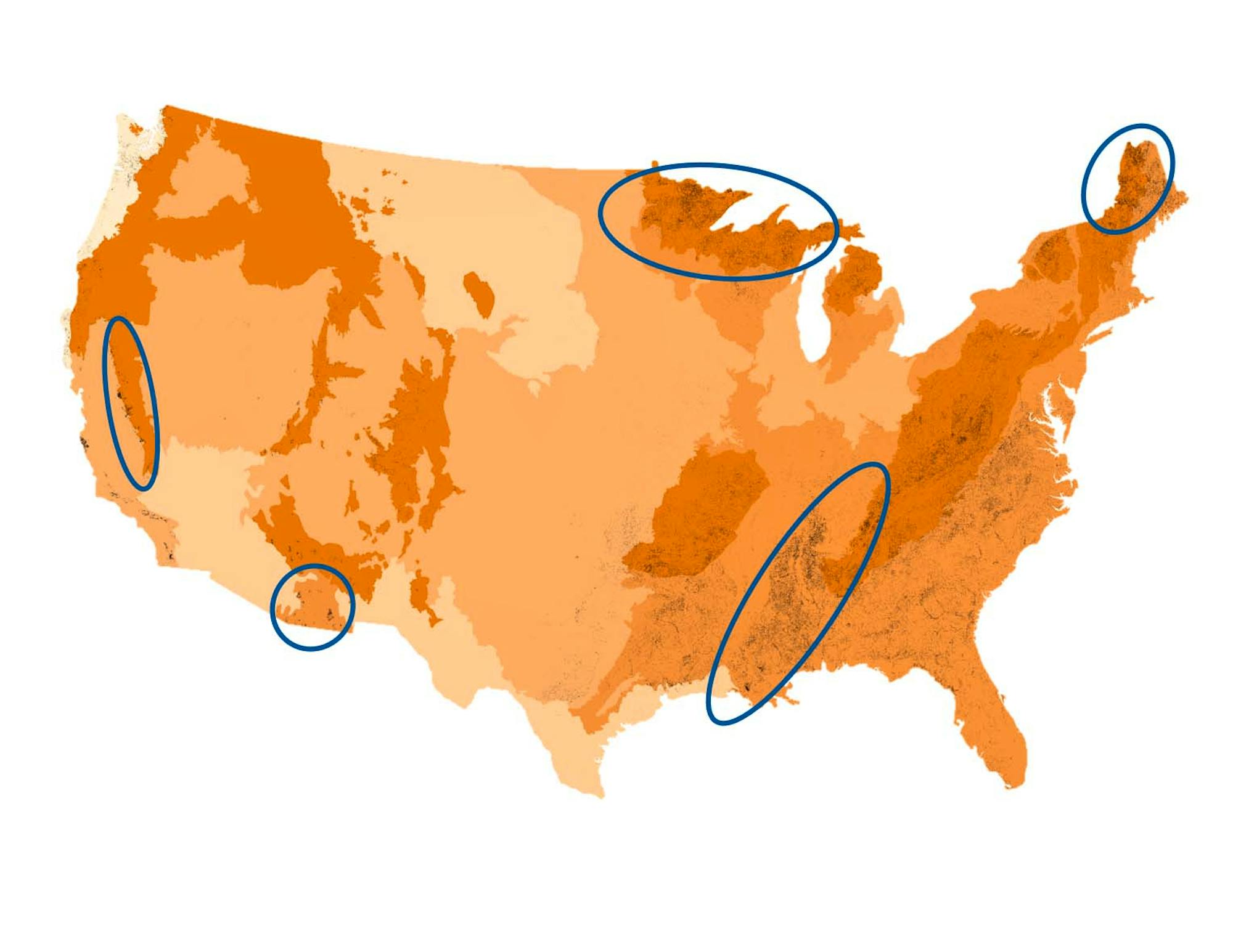 Map of deciduous forest loss