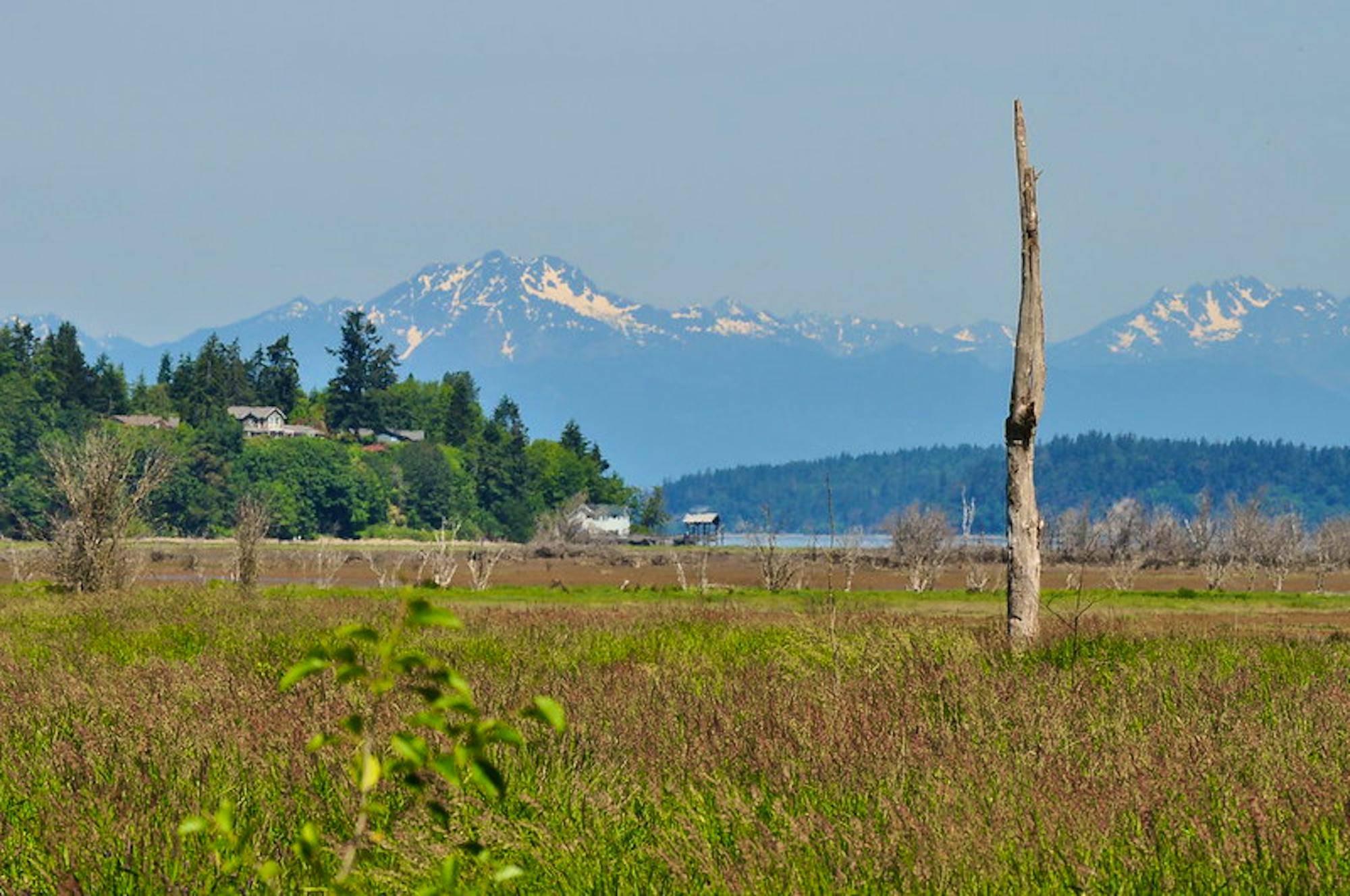 Billy Frank Jr. Nisqually NWR 