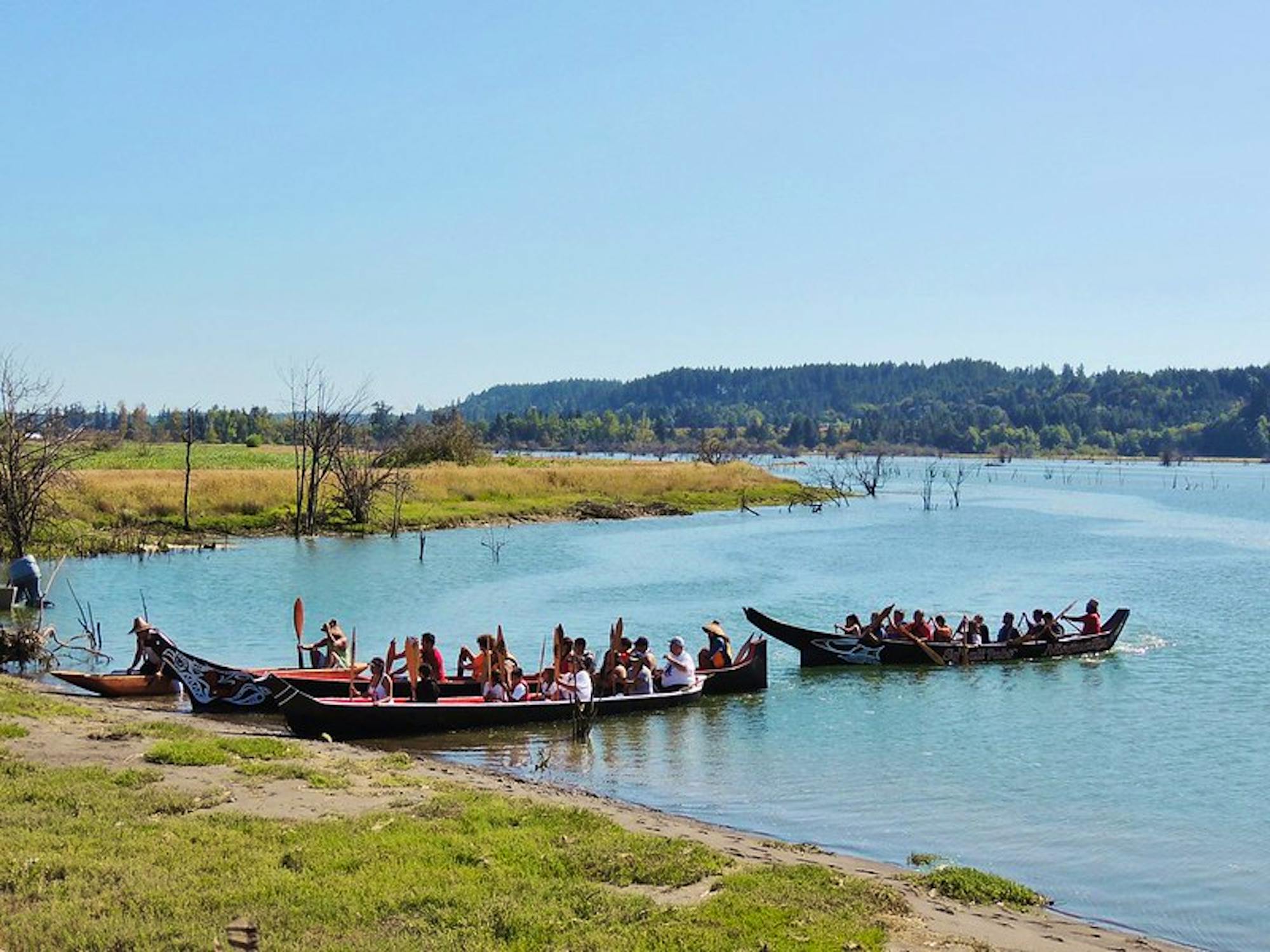 Canoes landing near the start of the Estuary Boardwalk Trail Billy Frank Jr. Nisqually NWR