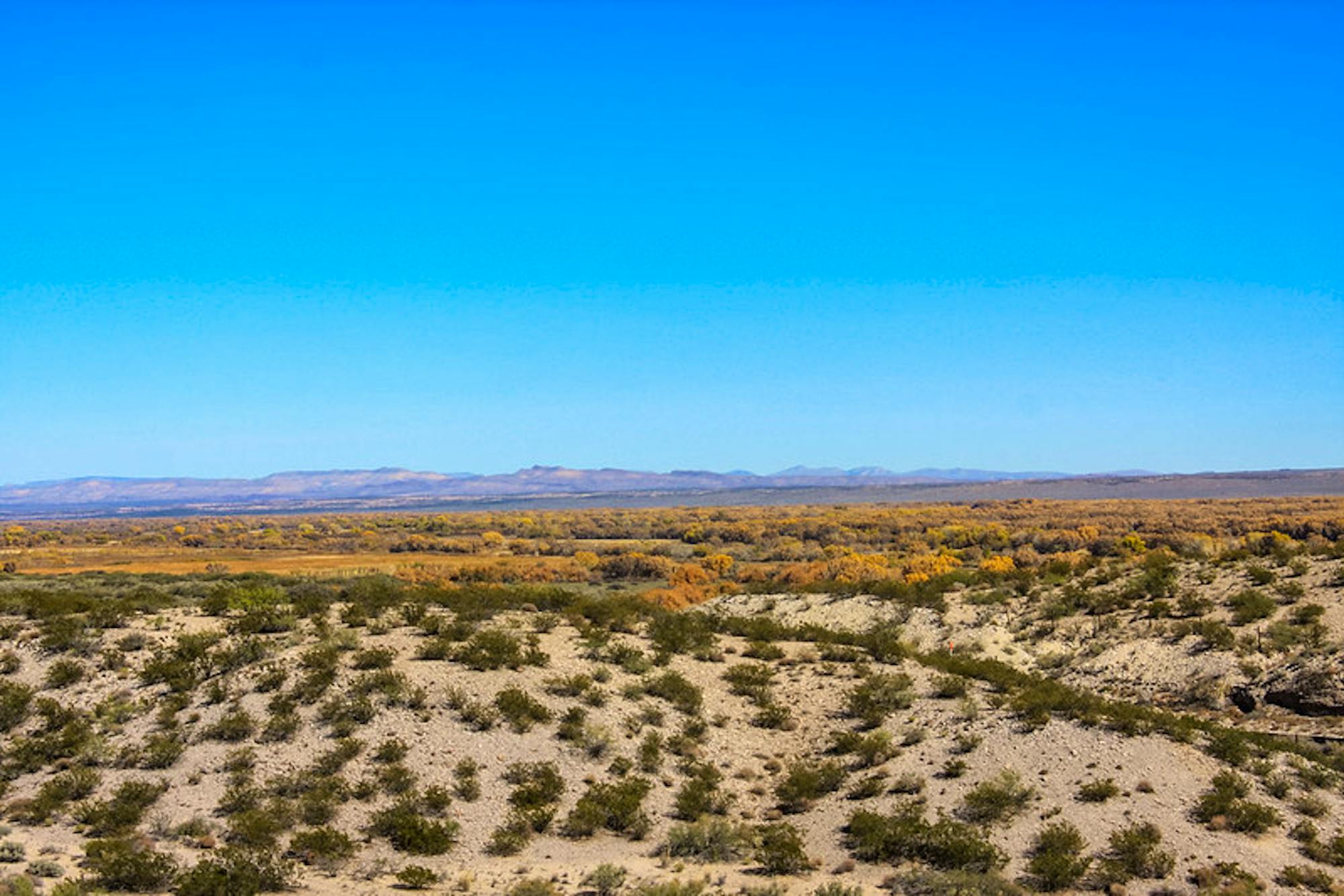 Bosque del Apache NWR overview from Point of Lands