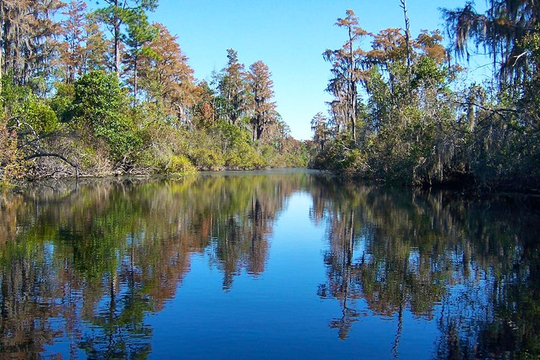 Canal Run Okefenokee NWR 