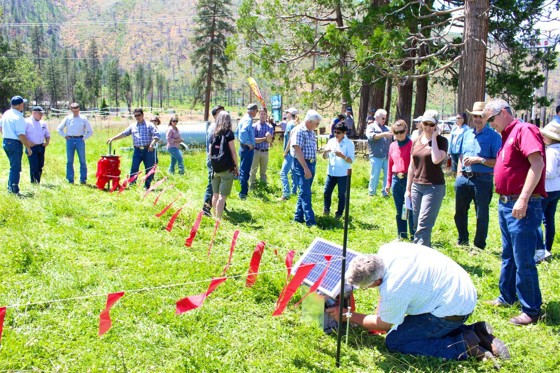 Nearly 80 participants attended the Wolf Workshop and Demonstration Day in Hat Creek, California, to learn more about wolf ecology and behavior, and to get an up-close look at several conflict reduction tools, including turbofladry, demonstrated here.