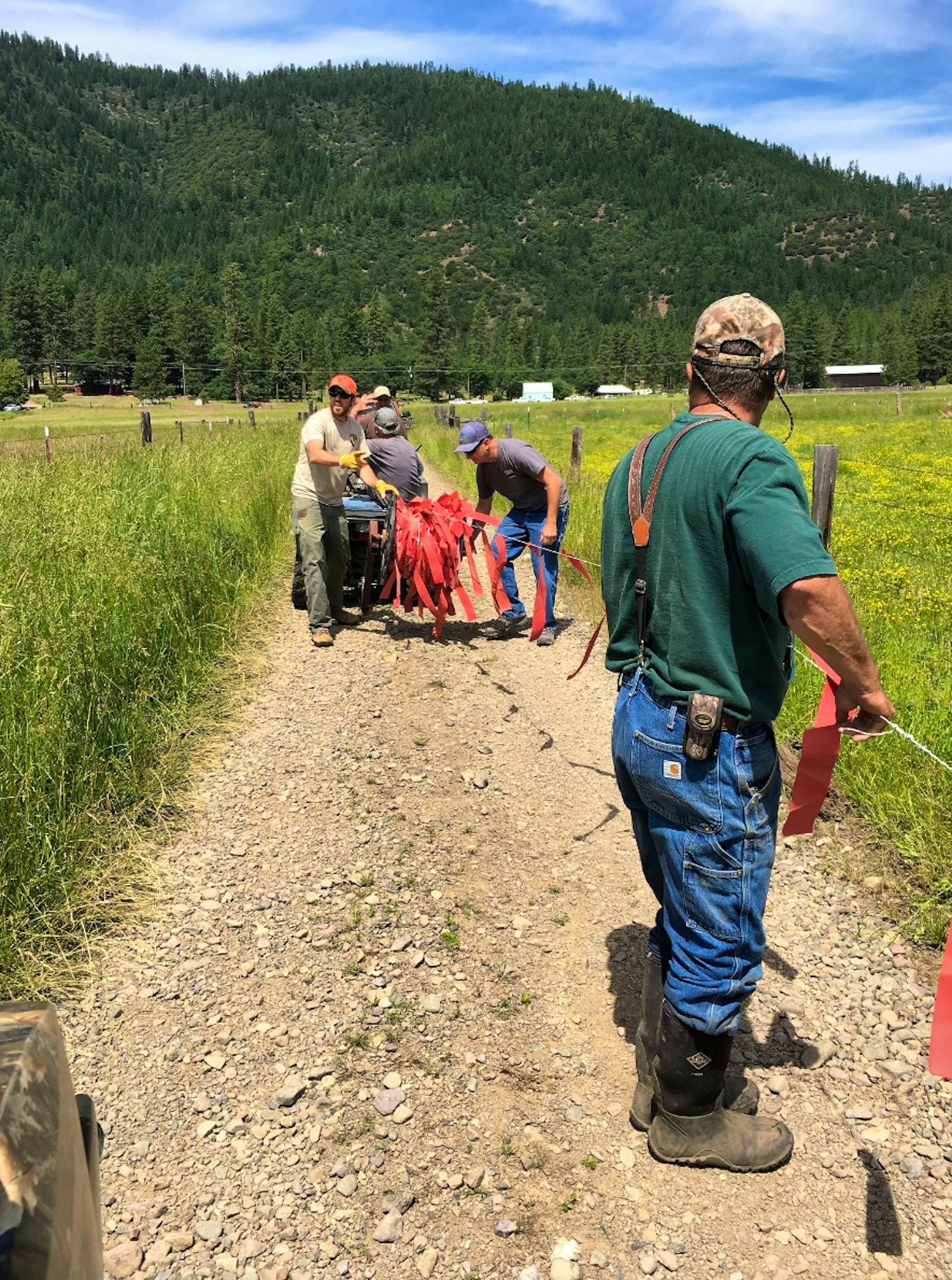 Partners from California Department of Fish and Wildlife, USDA Wildlife Services and Defenders of Wildlife assist a landowner in Plumas County remove turbofladry once the Lassen Pack moved to its summer range in Lassen County.