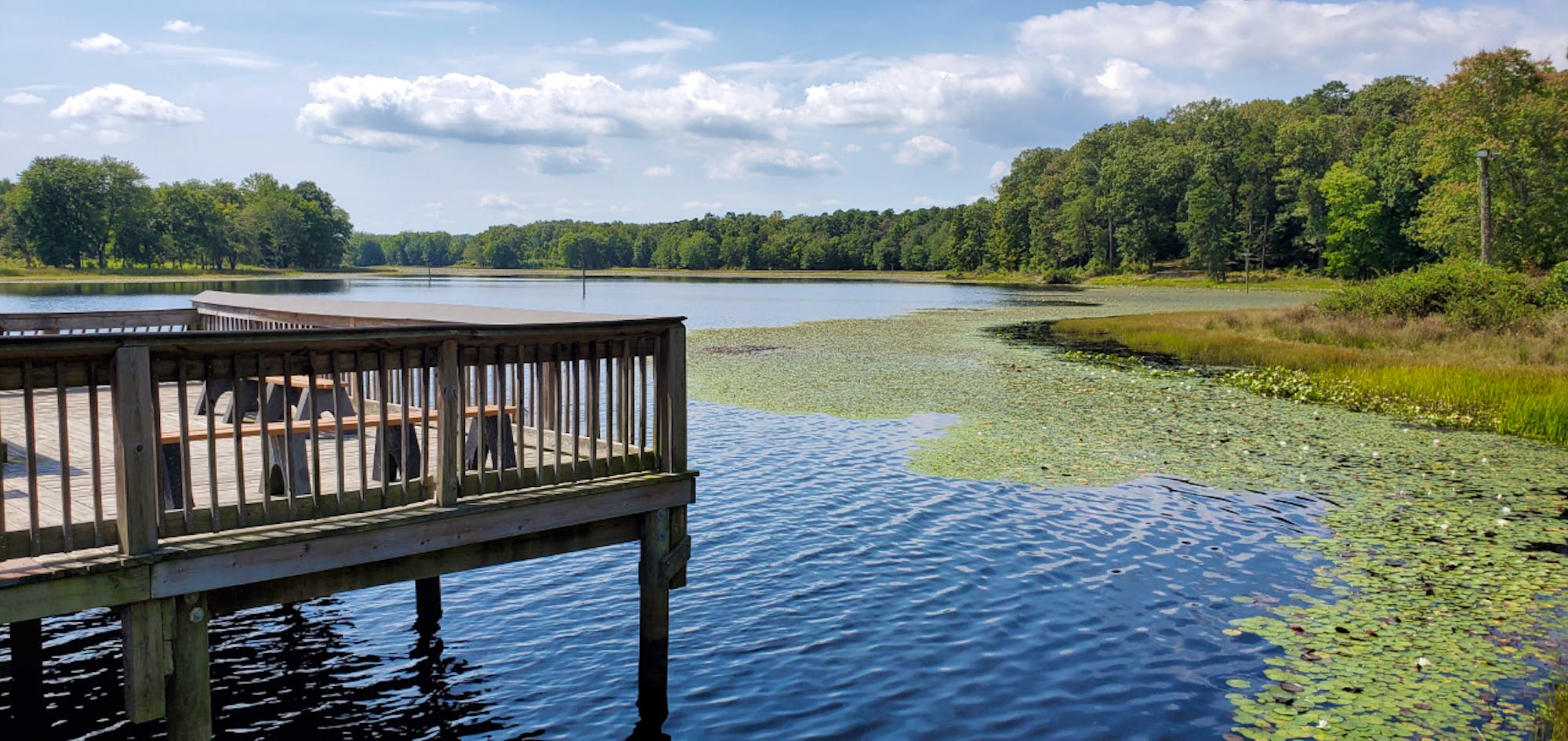 Patuxent NWR lake 