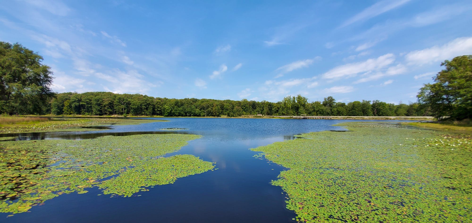 Patuxent NWR lake view