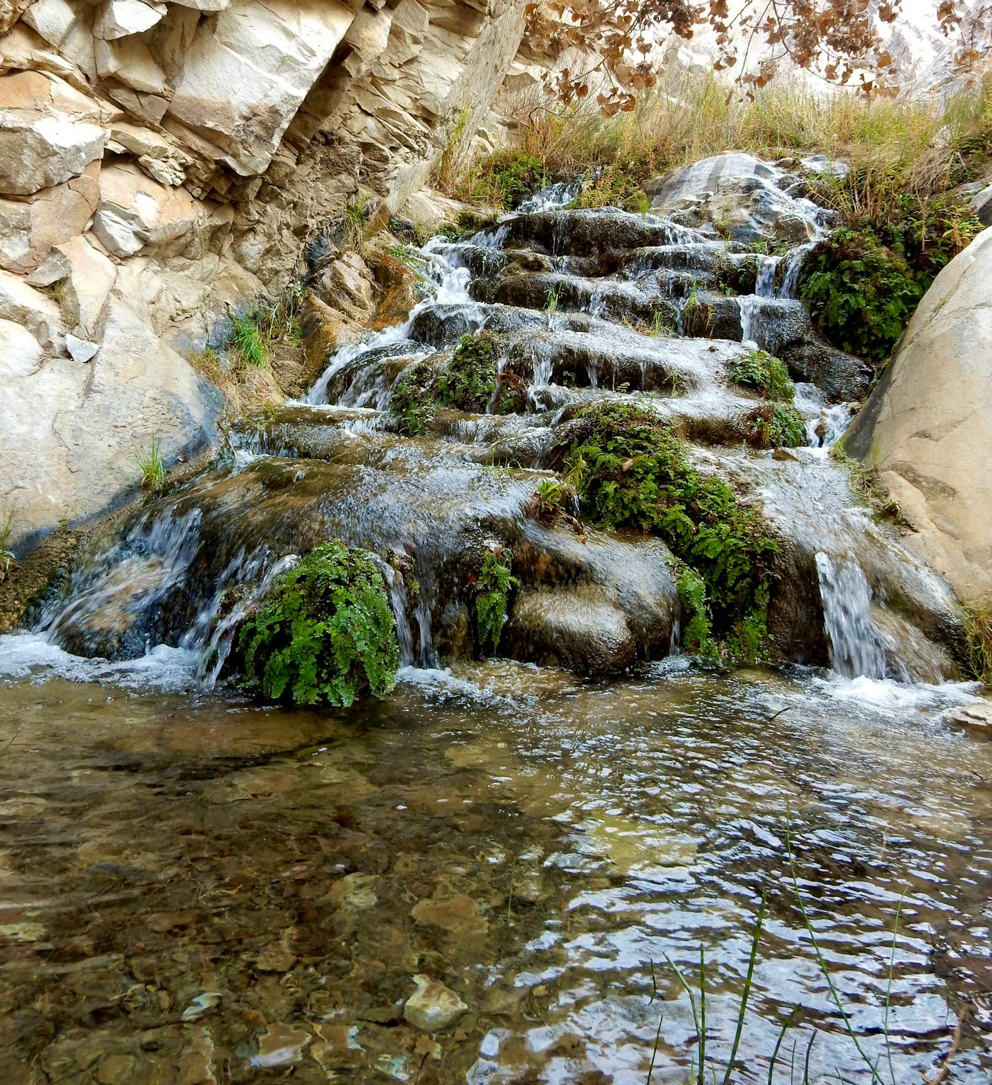 Waterfall at Surprise Canyon 