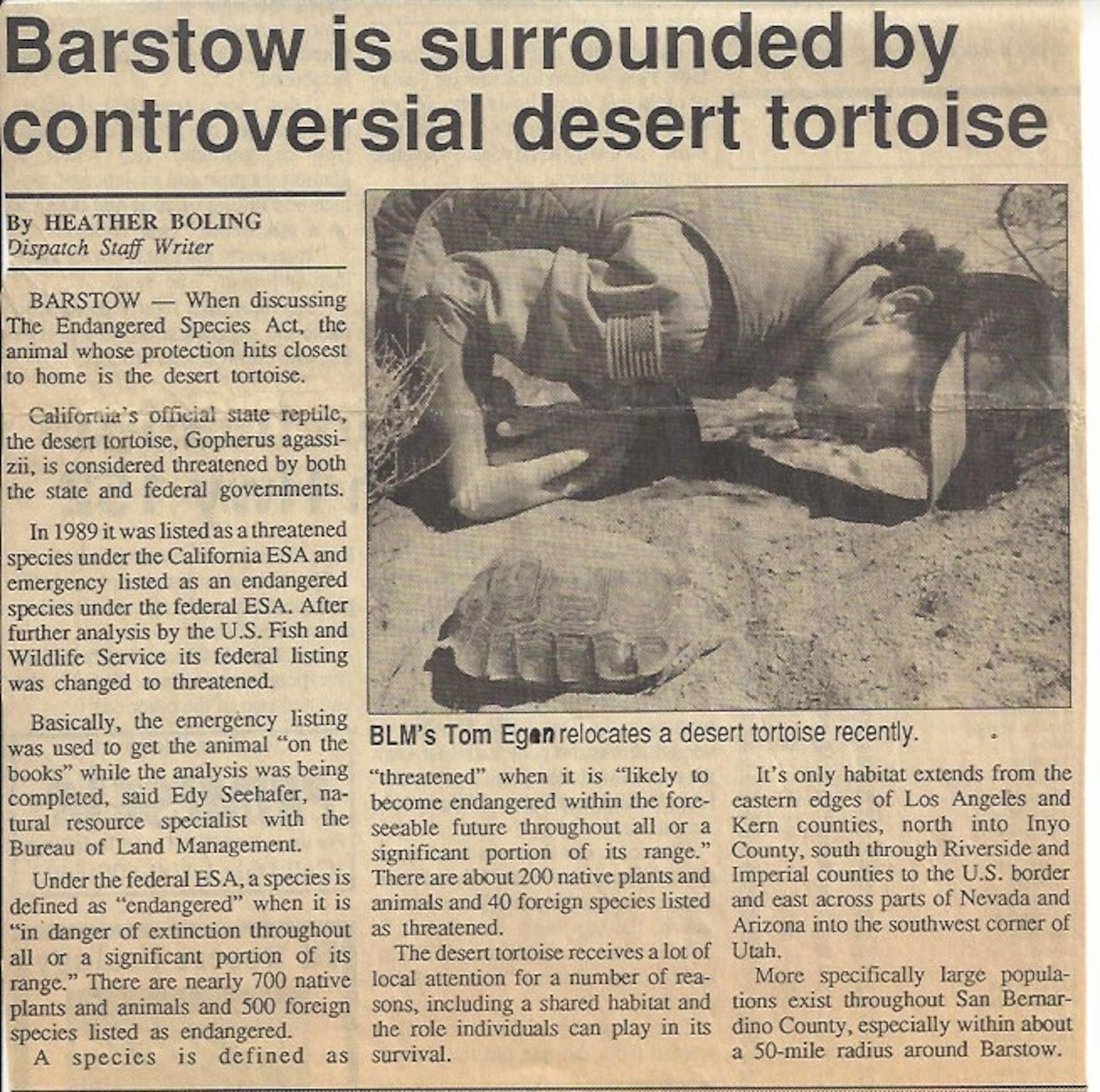 Tom relocates a Desert Tortoise newspaper clipping