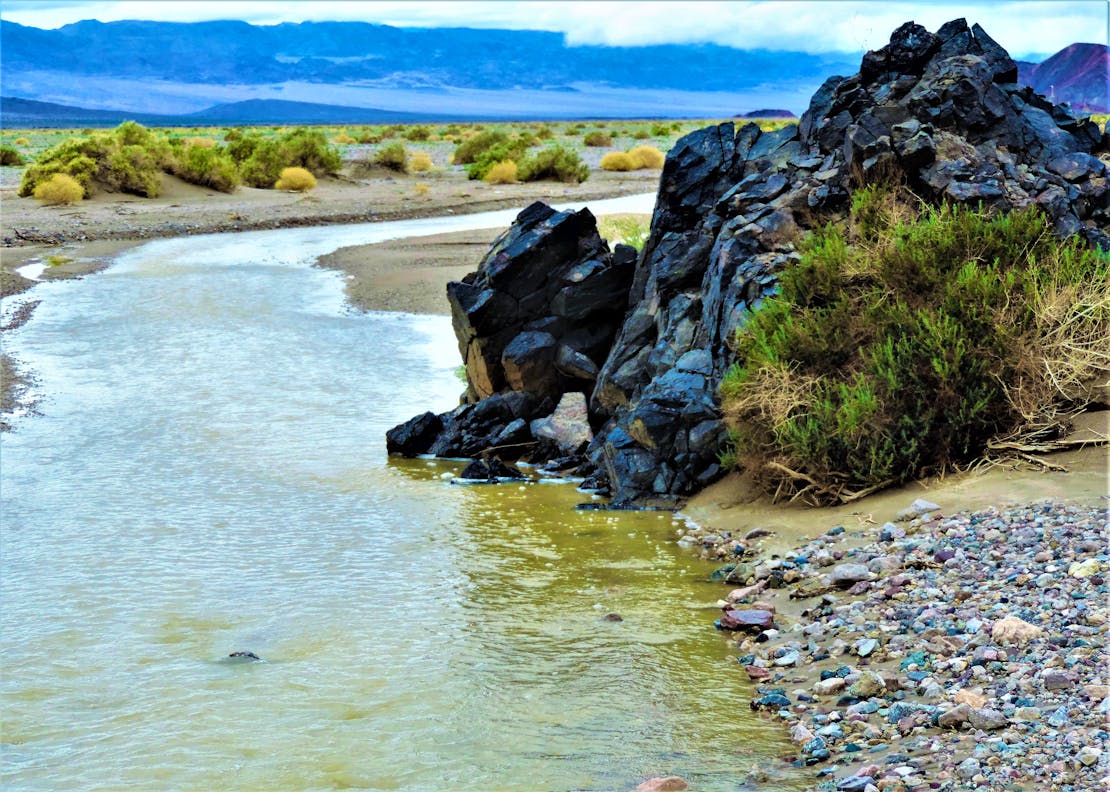 Amargosa River Wild & Scenic Stream Segment, just downstream from the Salt Creek tributary at the historic Harry Wade Crossing, with a view northwest towards the Panamint Range 