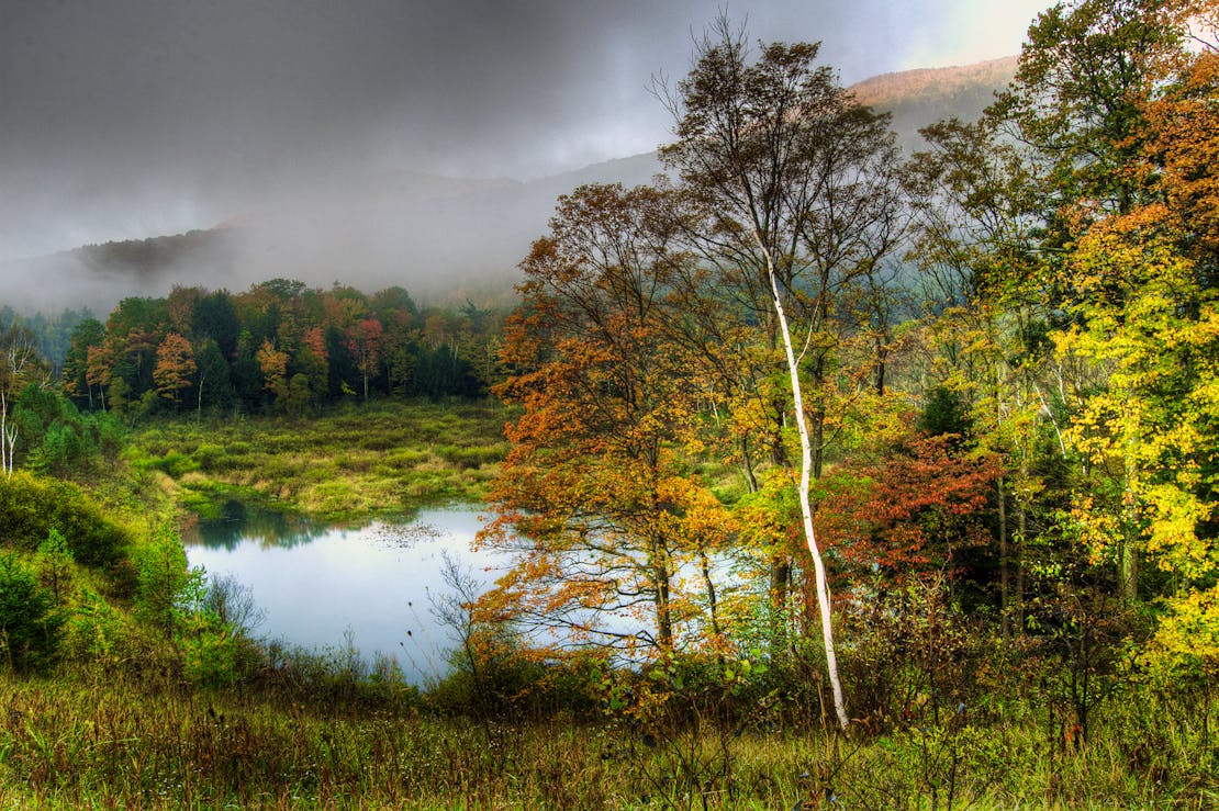 Fall colors forest and pond Manchester, Vermont