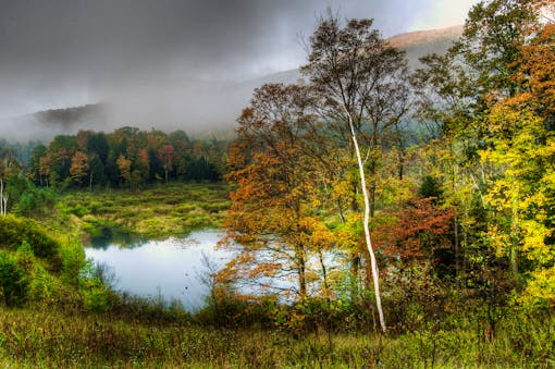 Fall colors forest and pond Manchester, Vermont