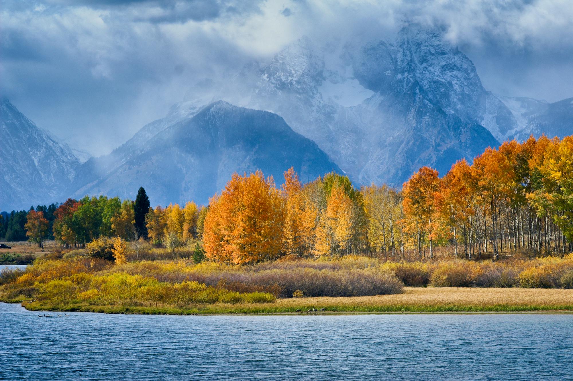 Fall colors Oxbow Bend Grand Teton NP