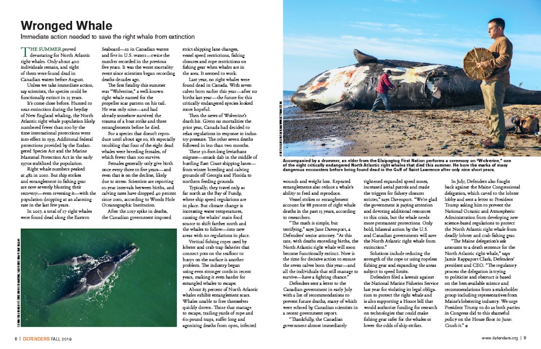 Oil Spill screenshot