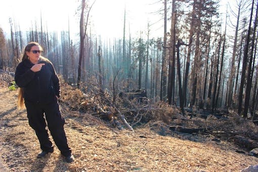 Yosemite National Park’s Fire and Aviation Chief Kelly Martin discusses effects of the Ferguson Fire on the park’s resources and landscape