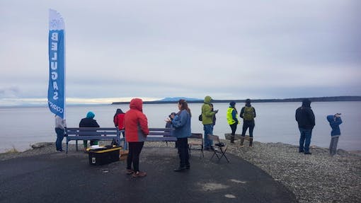 Ship Creek citizen scientists observing the port for belugas