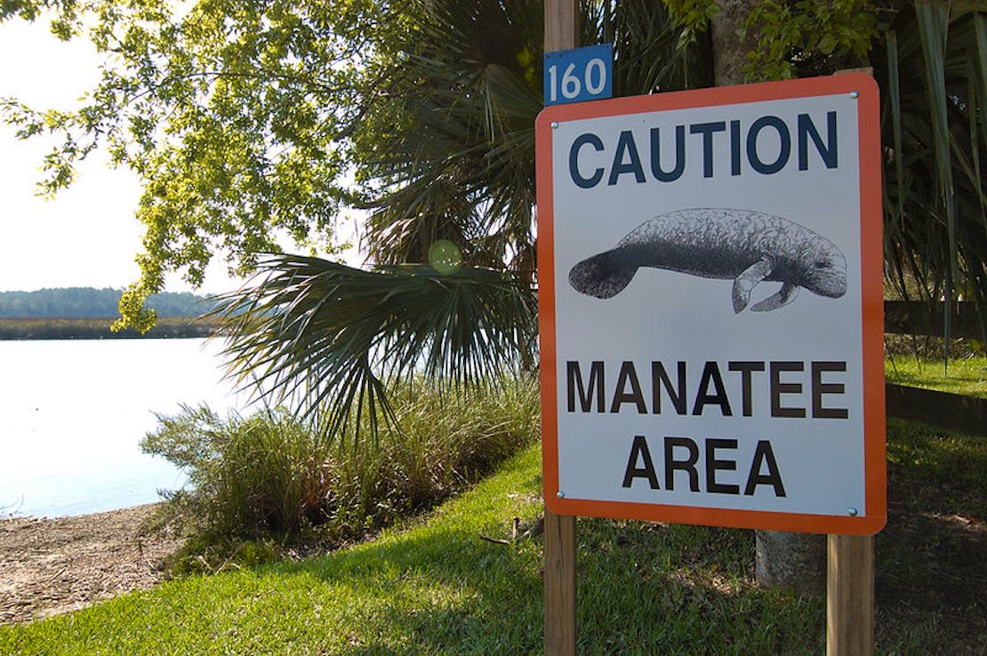 Manatee caution area sign