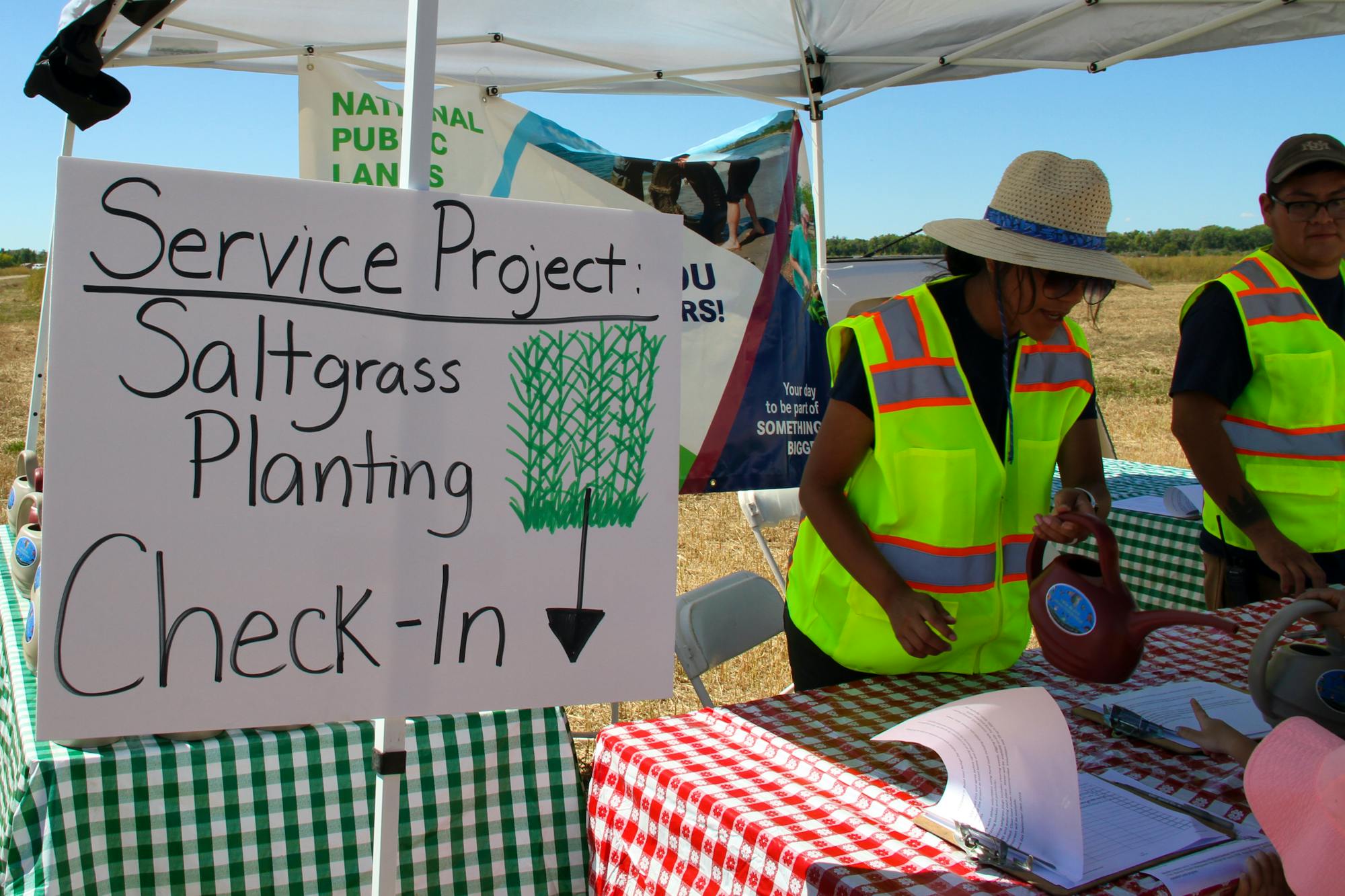 Saltgrass planting at Valle de Oro NWR service project