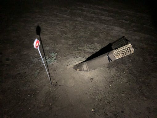 Black-footed ferret trap 