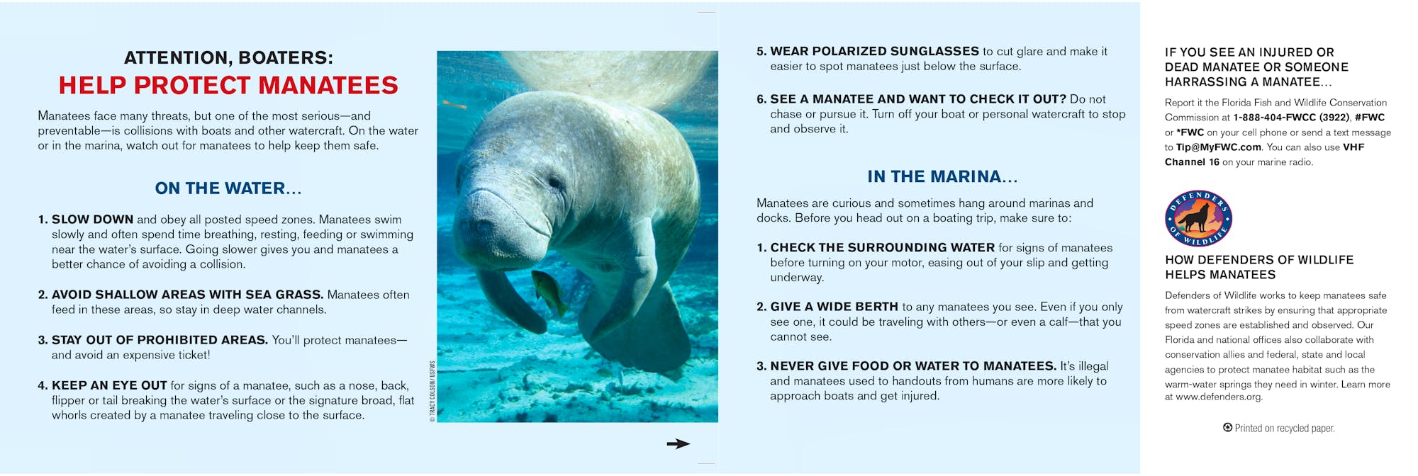 Manatee Safety Card