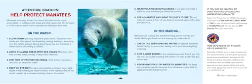 Manatee Safety Card