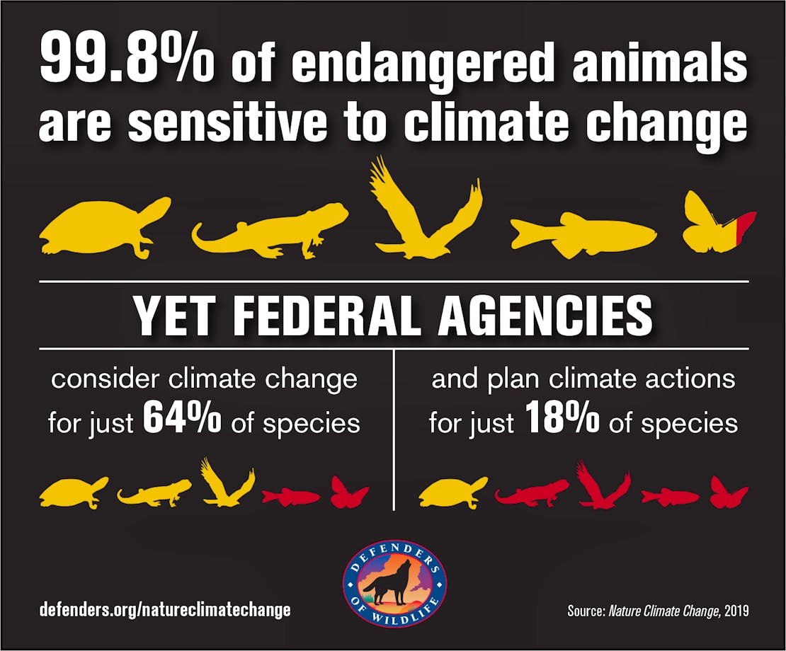 Nature-climate-change-infographic