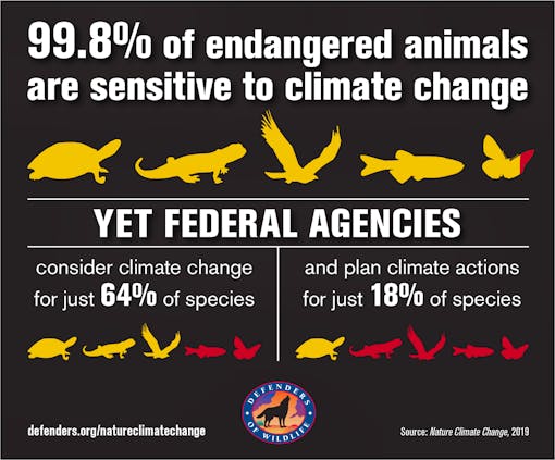 Nature-climate-change-infographic