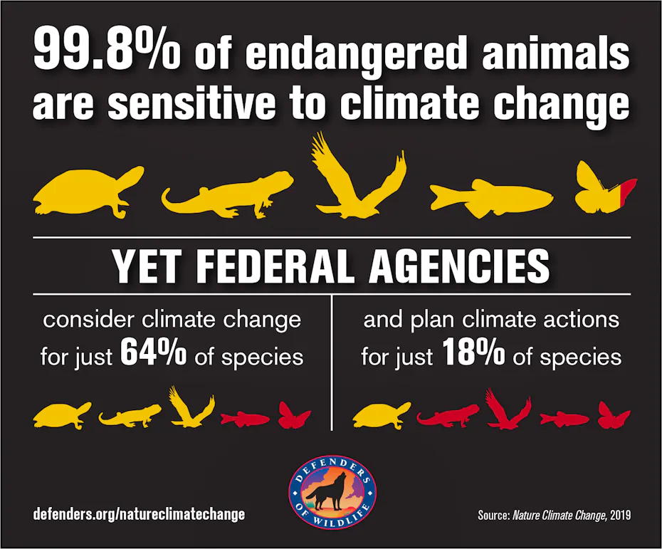 New Study Shows Agency Plans Inadequate to Protect Endangered Animals ...