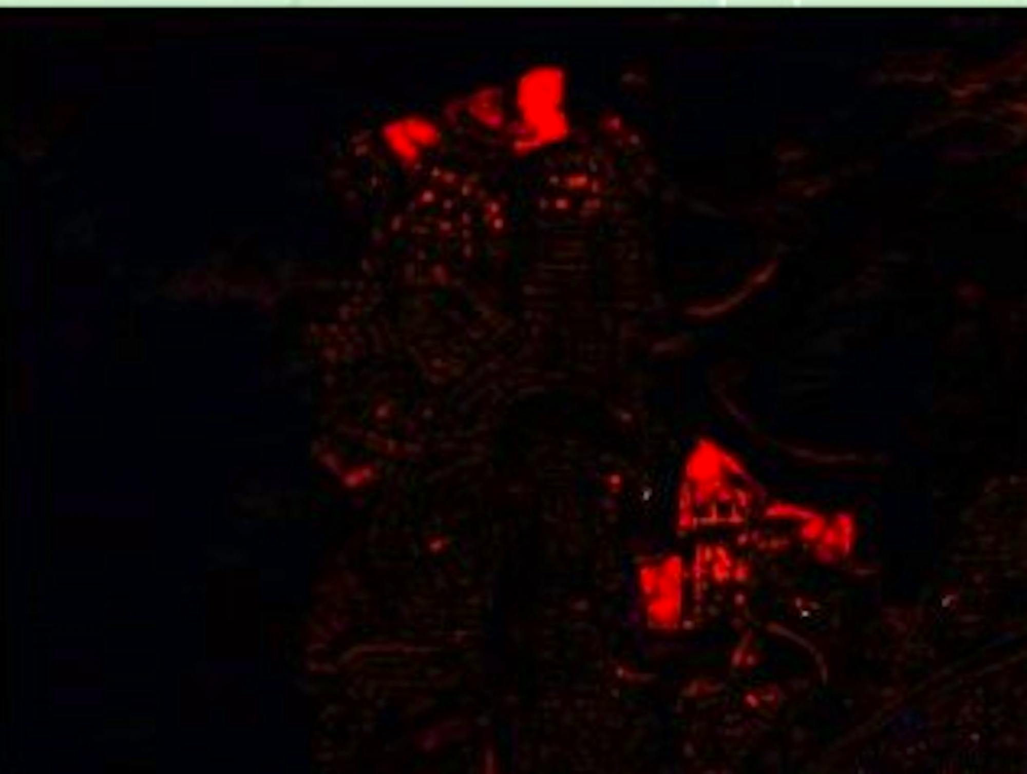 (c) CCI’s automated change detection tool showing areas of habitat change in red..jpg