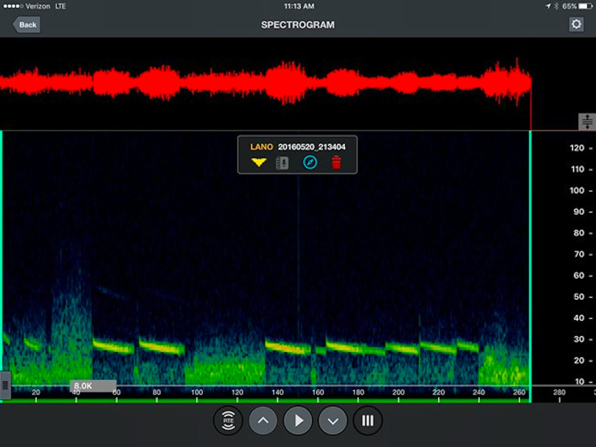 Silver haired bat spectogram NPS