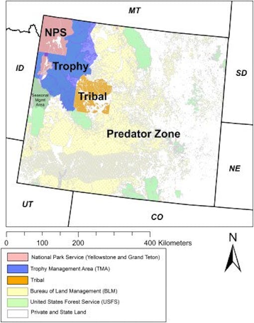 Gray wolf zones in wyoming