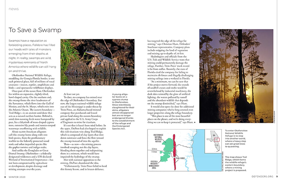 Okefenokee National Wildlife Refuge Screenshot