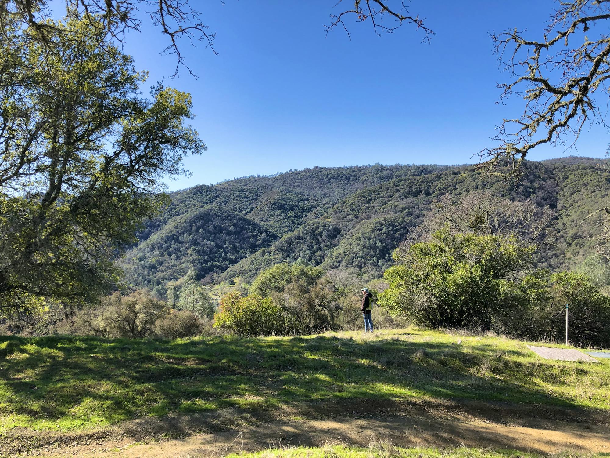 Lone Hiker - California - Quail Ridge Nature Walk