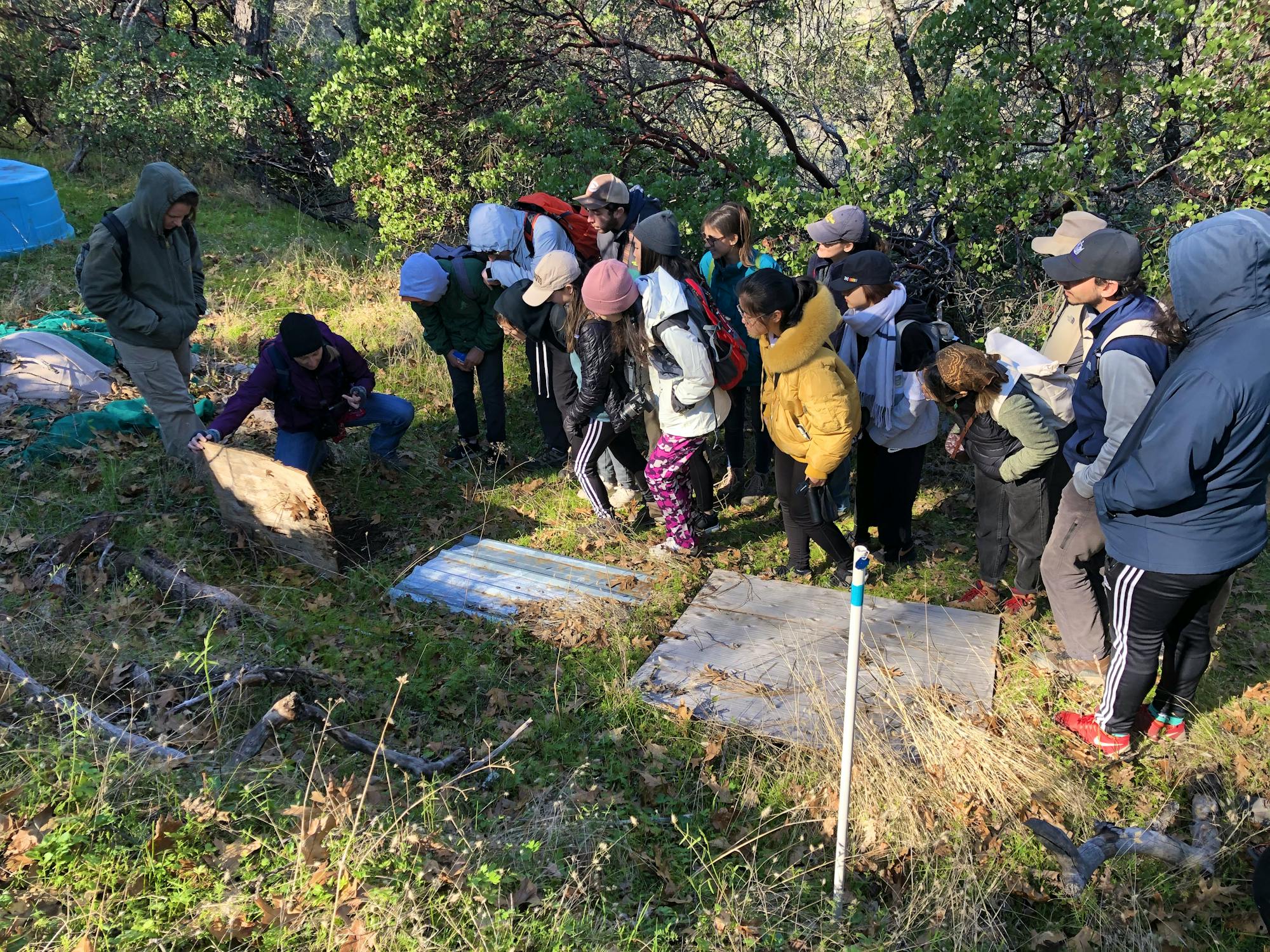 Pam Flick - California - Quail Ridge Nature Walk 