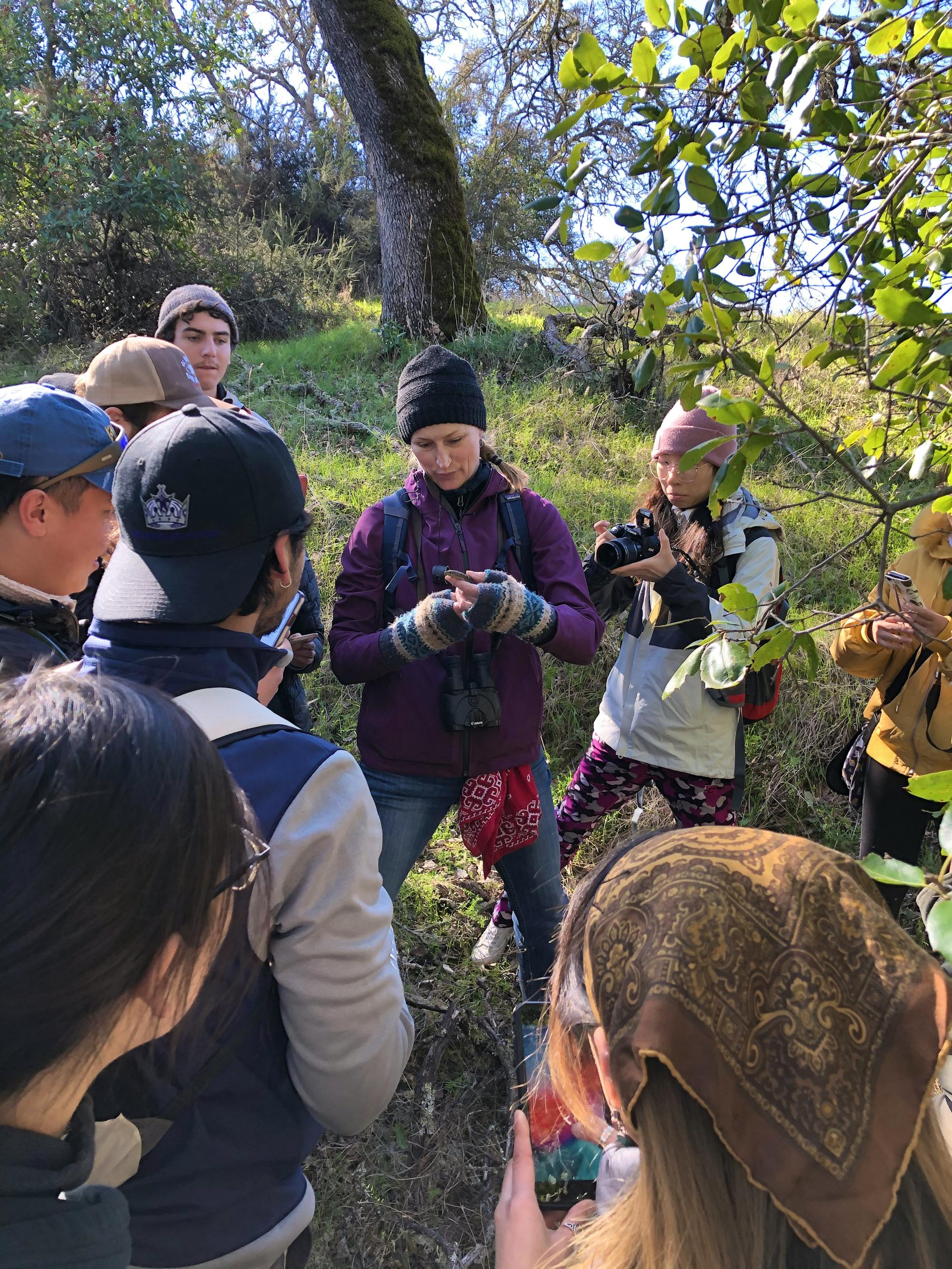 Pam Flick - California - Quail Ridge Nature Walk