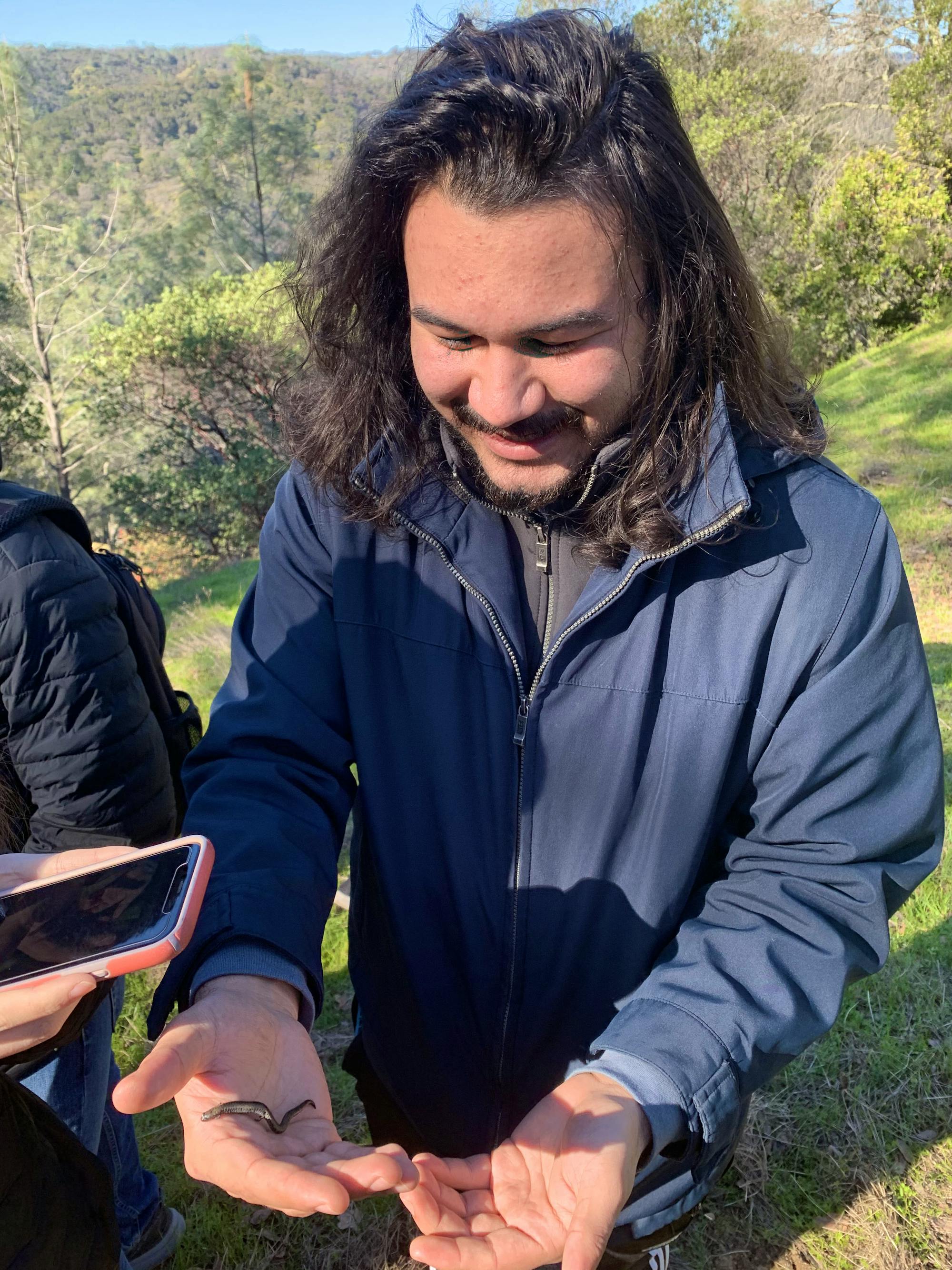 Slender Salamander - California - Quail Ridge Nature Walk