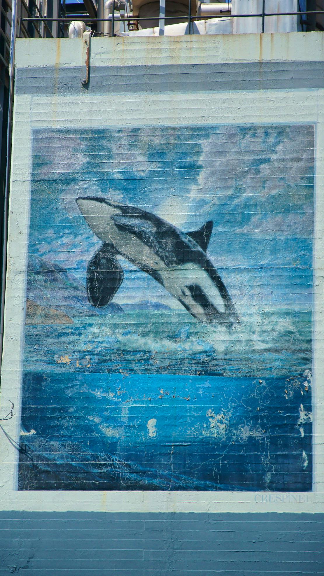 Orca Mural in Seattle