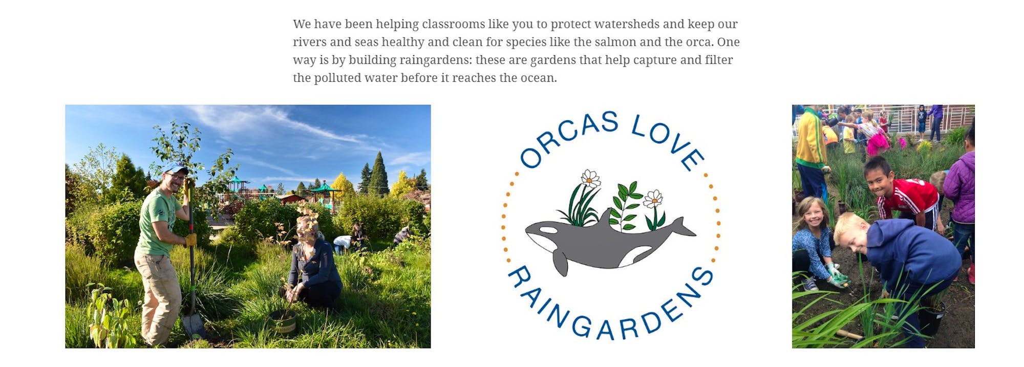 Orcas love raingardens storymap screenshot