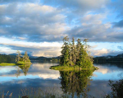 Thorne Bay in the Tongass National Forest