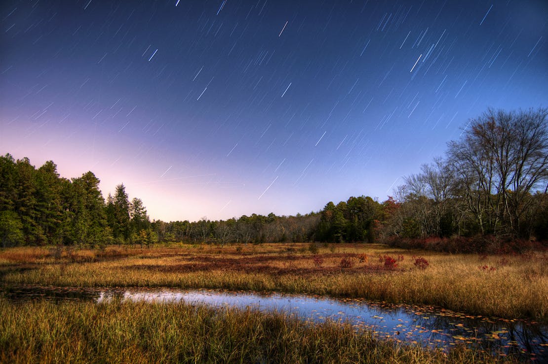 Star Trails in the Pine Barrens of Friendship NJ