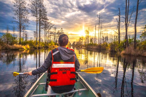 Paddler in a canoe Okefenokee Swamp Okefenokee Wilderness Area NWR