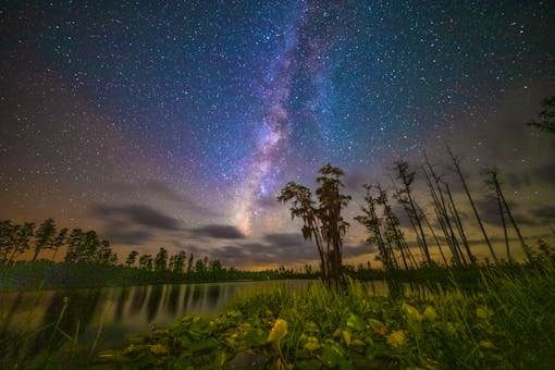 Milky way in the night sky Okefenokee NWR