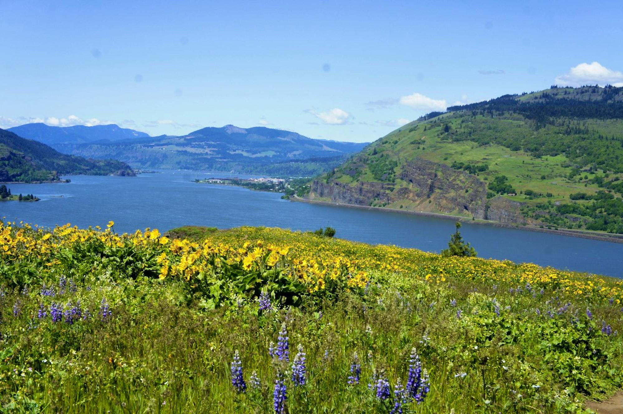 Columbia river meandering through the Columbia River Gorge