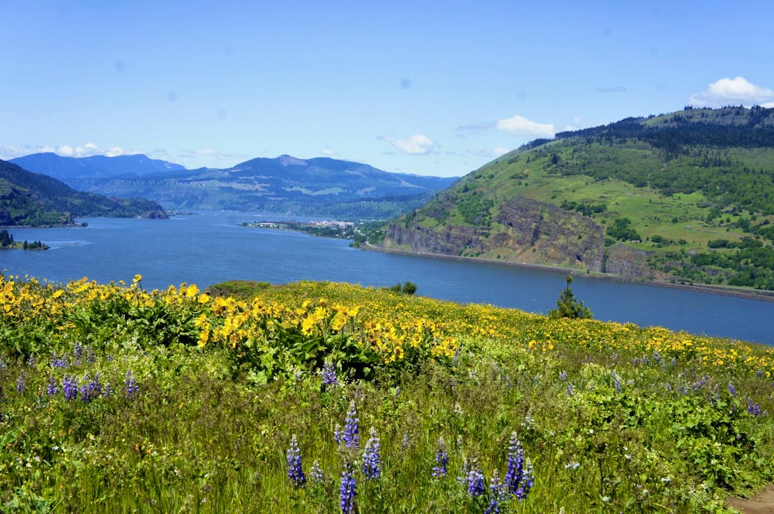 Columbia river meandering through the Columbia River Gorge