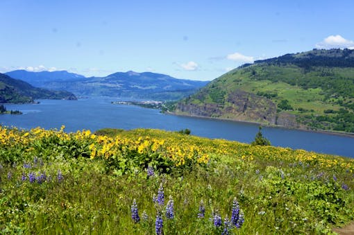 Columbia river meandering through the Columbia River Gorge