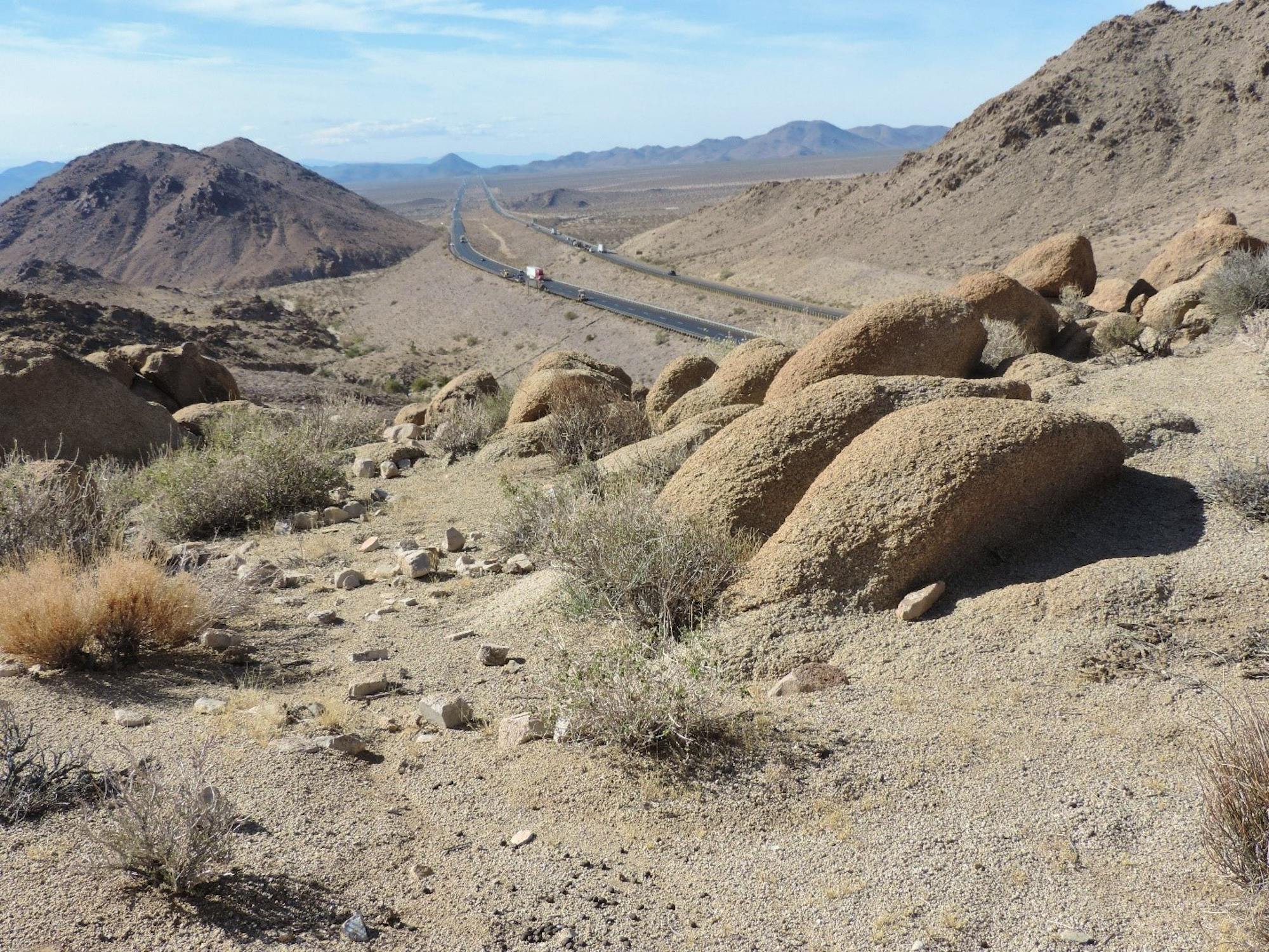 Desert bighorn sheep daybeds in the Marble Mountains overlooking Interstate Highway 40, between the Marble and Granite Mountains in the California Desert.