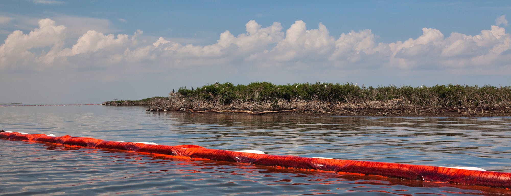 An oil boom in the Gulf after the BP oil spill