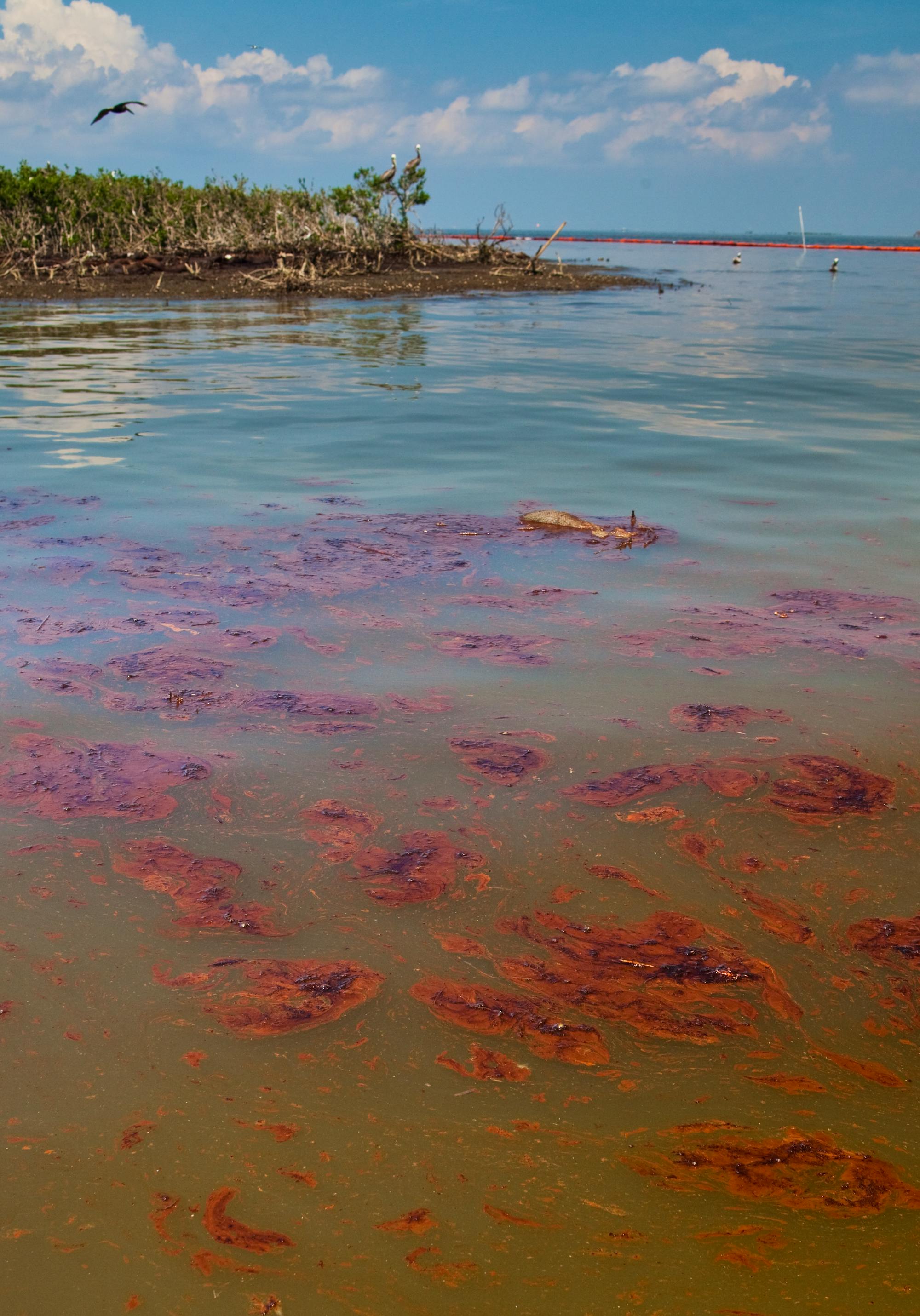 Gulf June 2010 after BP oil spill