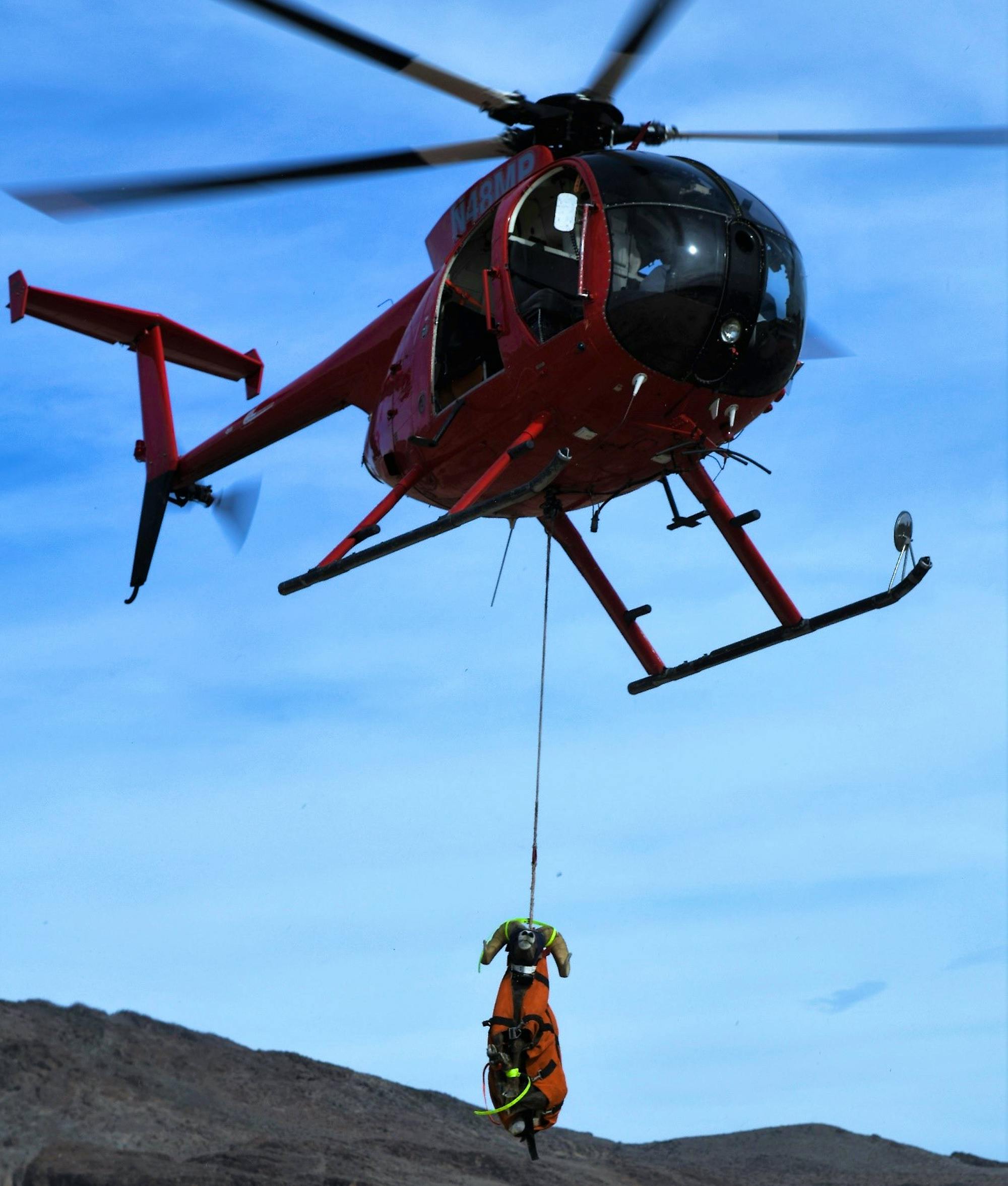 Helicopter with Desert bighorn sheep cargo in the Marble Mountains of the California Desert. 